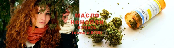 тгк Богданович