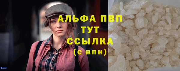 spice Богородск