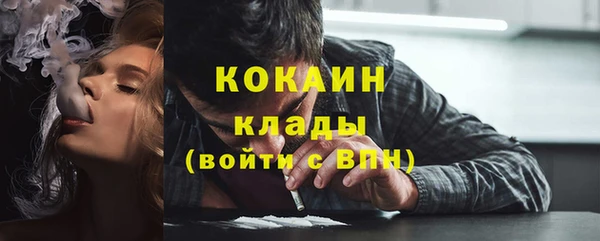 тгк Богданович