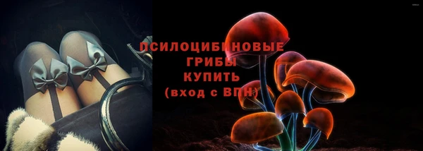 spice Богородск