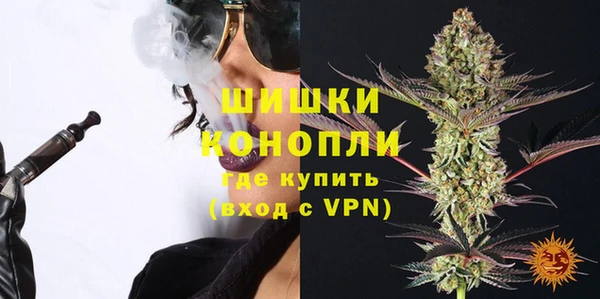 тгк Богданович