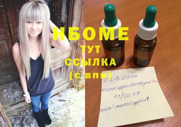 spice Богородск