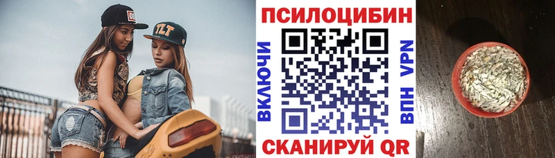 продажа наркотиков  Дно  Псилоцибиновые грибы GOLDEN TEACHER 
